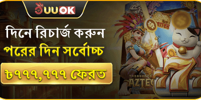 দৈনিক ভিআইপি ক্যাশব্যাক